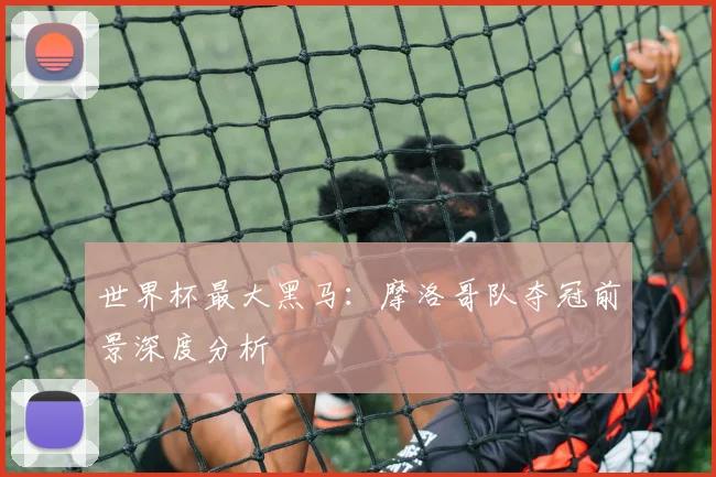 世界杯最大黑马：摩洛哥队夺冠前景深度分析
